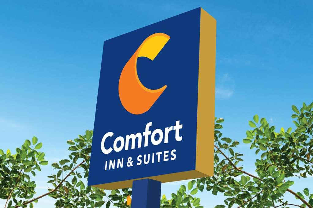 Comfort Inn & Suites High Point - Archdale 外观 照片
